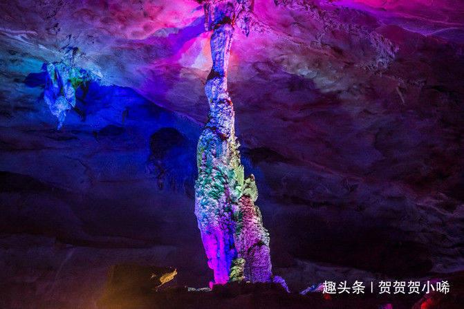 青蛙魔术师